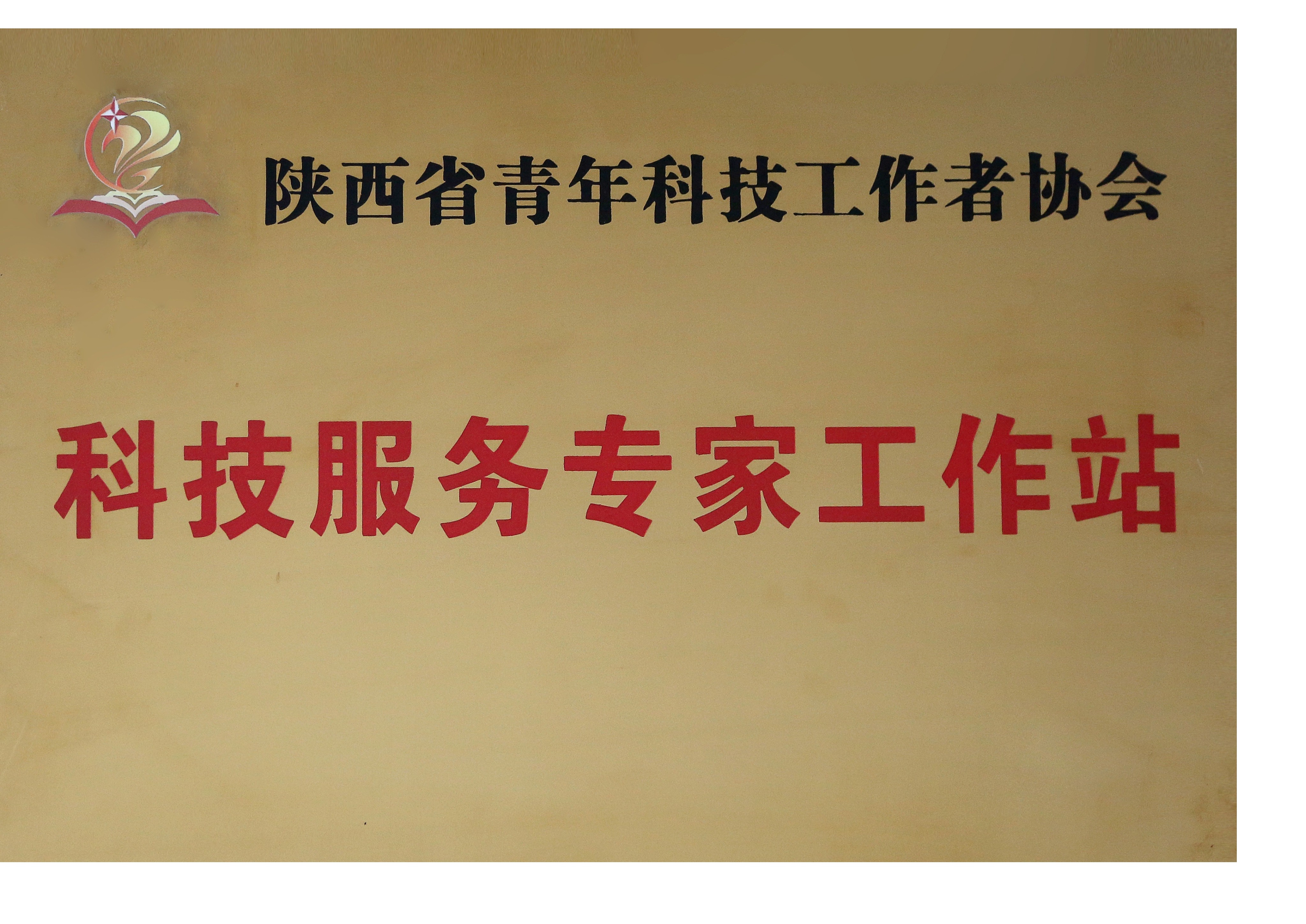 陜西省科技服務(wù)專家工作站